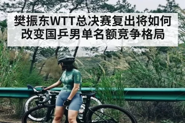 樊振东WTT总决赛复出将如何改变国乒男单名额竞争格局